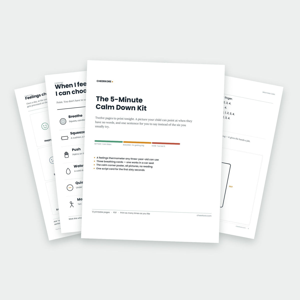 The 5-Minute Calm Down Kit — printed pages fanned out, showing the cover and interior worksheets