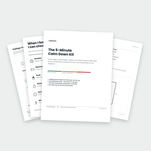 The 5-Minute Calm Down Kit — printed pages fanned out, showing the cover and interior worksheets